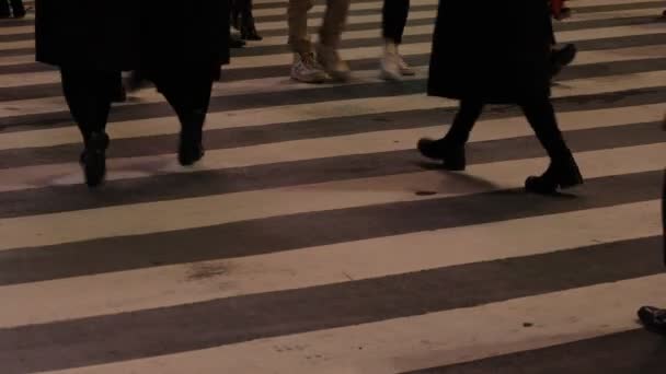Walking people body parts at Shibuya crossing at night — Stock Video
