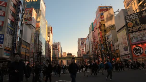 Caminhando pessoas na rua de férias em Akihabara Tóquio grande tiro diurno — Vídeo de Stock