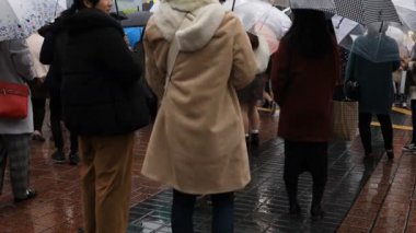 Tokyo yağmurlu bir günde Shibuya geçişinde araba taşıma ve yürüyen insanlar