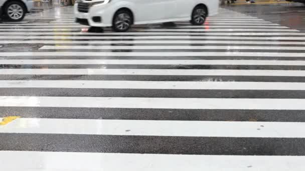 Traslado de coches y personas caminando en el cruce Shibuya en Tokio día lluvioso — Vídeos de Stock