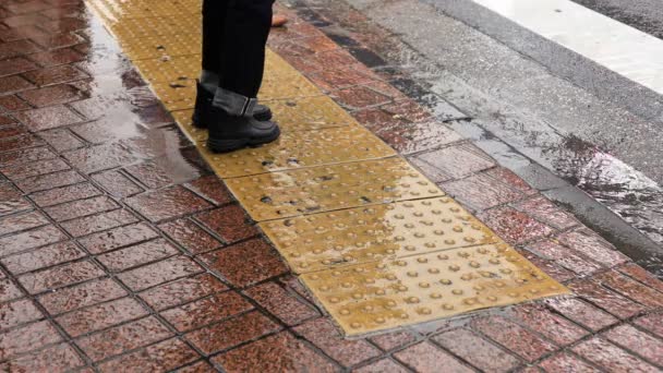 Camminare a Shibuya attraversando a Tokyo giorno di pioggia — Video Stock