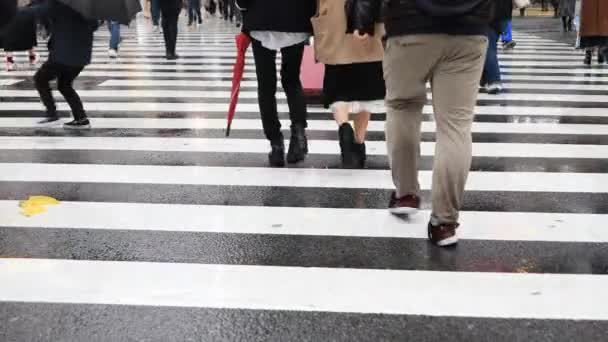 Caminando gente en Shibuya cruzando en Tokio día lluvioso — Vídeos de Stock