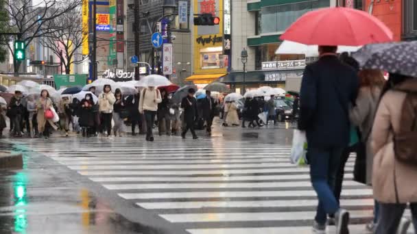 Camminare a Shibuya attraversando a Tokyo giorno di pioggia — Video Stock