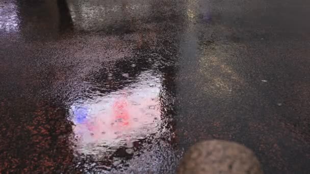 雨の日に東京の渋谷交差点を歩く人々 — ストック動画