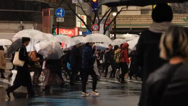 Прогулки на переправе Сибуя в Токио в дождливый день — стоковое видео