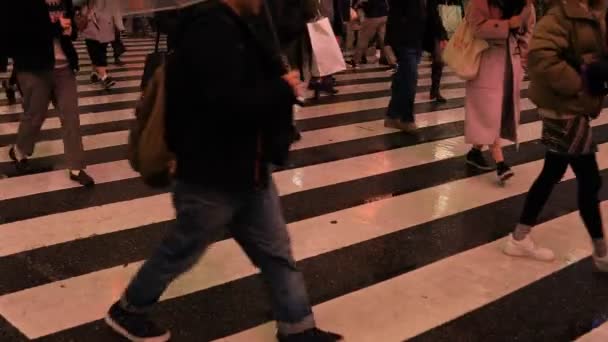 Camminare a Shibuya attraversando a Tokyo giorno di pioggia — Video Stock