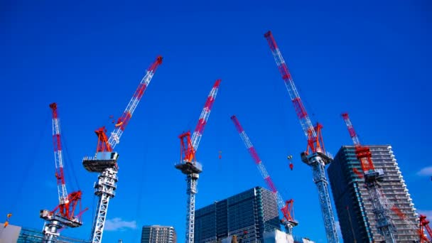 En tidsfördröjning av rörliga kranar på under konstruktion i Tokyo wide shot Tilt — Stockvideo