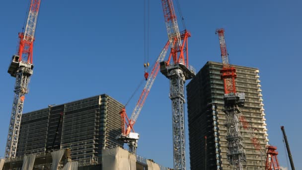 Guindastes em construção em Tóquio tiro largo — Vídeo de Stock