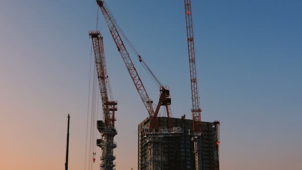 Краны на стадии строительства в Токио широкий снимок в сумерках — стоковое видео