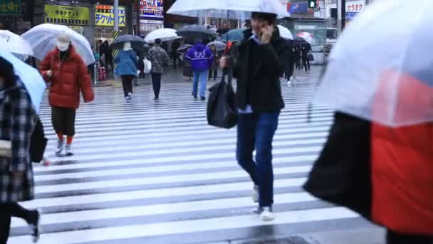 Chůze po částech těla na křižovatce v deštivém dni Šinjuku Tokio — Stock video