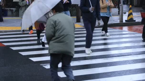 Прогулка части тела людей на переходе в Shinjuku Токио дождливый день — стоковое видео