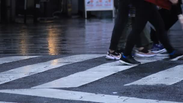 Parties du corps des personnes qui marchent au croisement à Shinjuku Tokyo jour de pluie — Video