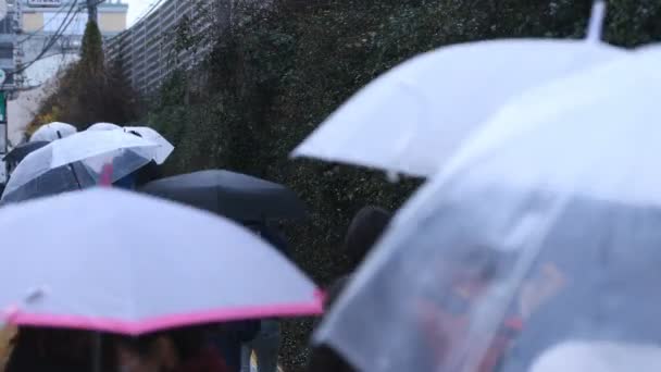 Άτομα με βόλτες στα μέρη του σώματος στο πέρασμα στη βροχερή μέρα του Τόκιο — Αρχείο Βίντεο