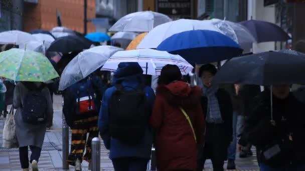 Walking människor kroppsdelar vid korsningen i Shinjuku Tokyo regnig dag — Stockvideo
