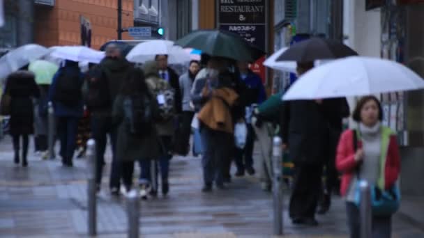 Orang berjalan bagian tubuh di persimpangan di Shinjuku Tokyo hari hujan — Stok Video