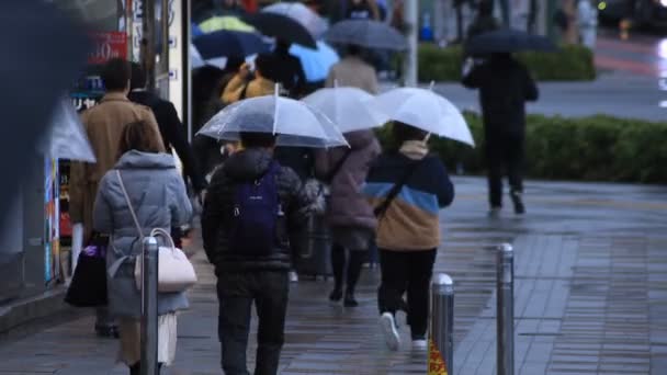 Chůze po částech těla na křižovatce v deštivém dni Šinjuku Tokio — Stock video