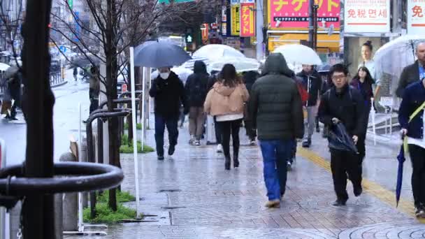 Parties du corps des personnes qui marchent au croisement à Shinjuku Tokyo jour de pluie — Video