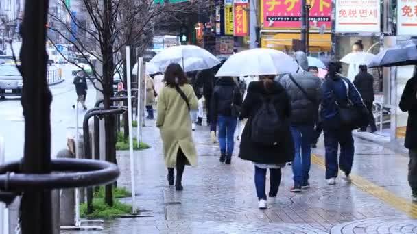 Parties du corps des personnes qui marchent au croisement à Shinjuku Tokyo jour de pluie — Video