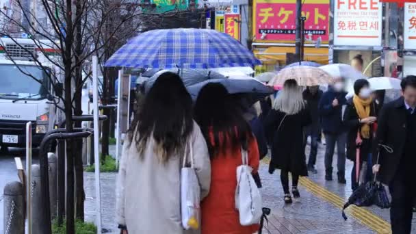 Parties du corps des personnes qui marchent au croisement à Shinjuku Tokyo jour de pluie — Video