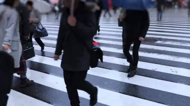 Caminhando pessoas partes do corpo no cruzamento em Shinjuku Tóquio dia chuvoso — Vídeo de Stock