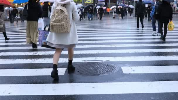 Caminhando pessoas partes do corpo no cruzamento em Shinjuku Tóquio dia chuvoso — Vídeo de Stock