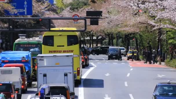 Flor de cerejeira na rua Yasukuni em Tóquio durante o dia — Vídeo de Stock