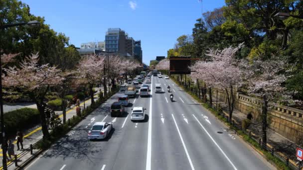 Flor de cerezo en la calle Yasukuni en Tokio durante el día — Vídeos de Stock
