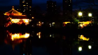 Ueno Tokyo geleneksel parkta gölet yakınında gün batımı bir timelapse