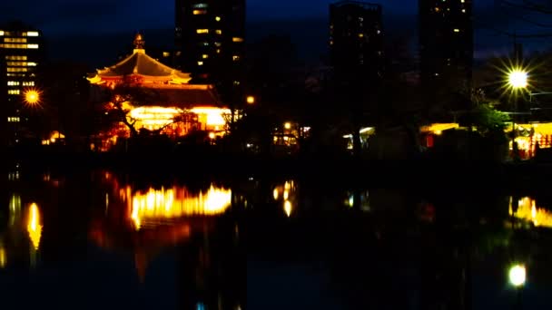 Zeitraffer des Sonnenuntergangs in der Nähe des Teiches im traditionellen Park in Ueno Tokyo — Stockvideo