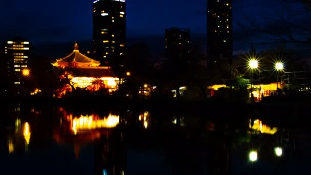 En Timelapse av solnedgången nära dammen vid den traditionella parken i Ueno Tokyo — Stockvideo