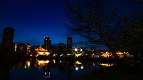 Een timelapse van zonsondergang in de buurt van de vijver in het traditionele Park in Ueno Tokyo Wide shot — Stockvideo