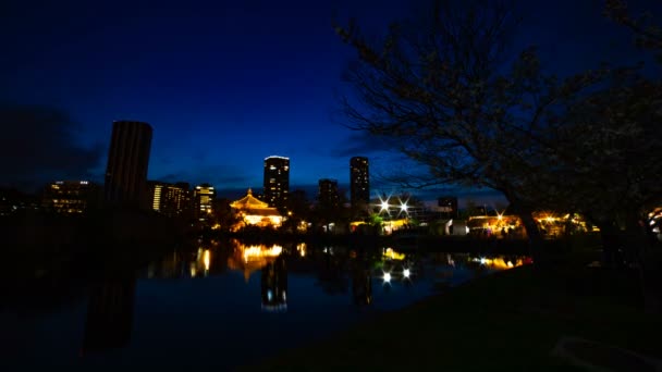 Een timelapse van zonsondergang in de buurt van de vijver in het traditionele Park in Ueno Tokyo Wide shot — Stockvideo