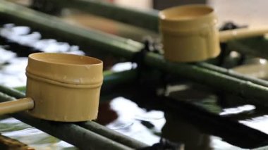 Tokyo Hie tapınağında arıtma çukur