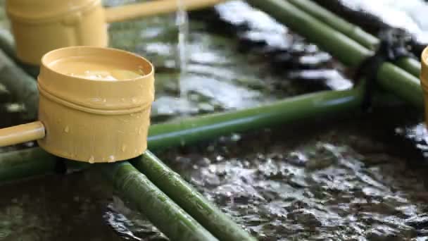 东京希神社的净化槽 — 图库视频影像