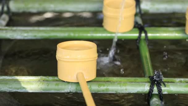 Trogolo di purificazione al santuario di Hie a Tokyo — Video Stock