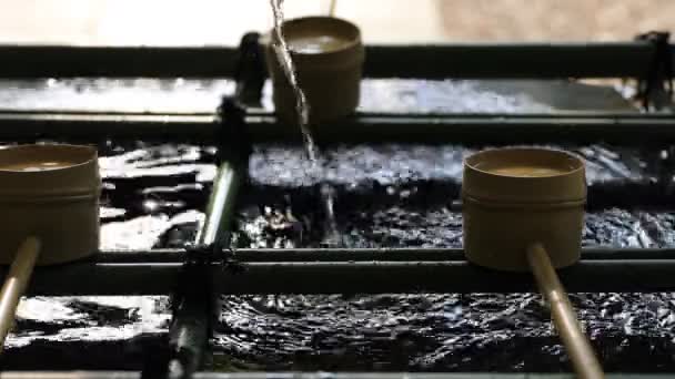 Очищення корита в Hie Shrine в Токіо — стокове відео