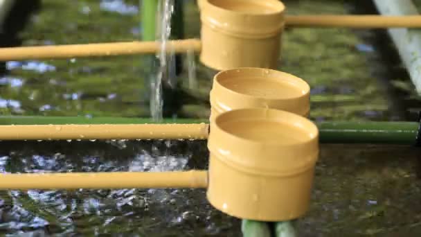 Purification trough at Hie shrine in Tokyo — Stock Video