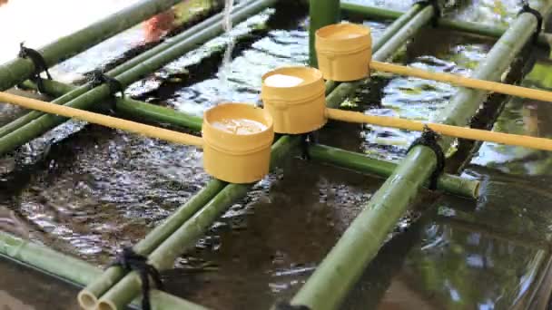 Oczyszczanie koryta w Sanktuarium HIE w Tokio — Wideo stockowe