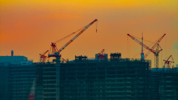 A time lapse of moving cranes at the bay area in Tokyo at dusk wide shot — Stock Video