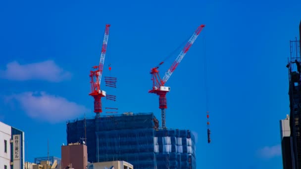 Tokyo'da mavi gökyüzünün arkasında yapım aşamasında vinçler bir timelapse — Stok video
