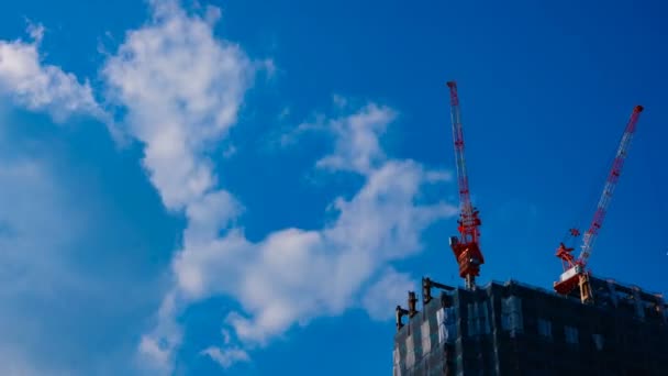Μια χρονική διάρκεια των γερανών στην υπό κατασκευή πίσω από το γαλάζιο του ουρανού στο Τόκιο — Αρχείο Βίντεο