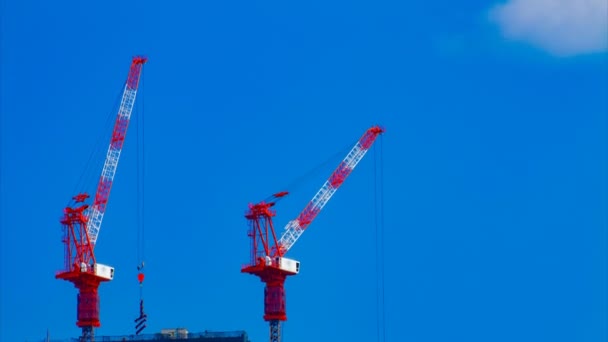 Tokyo'da mavi gökyüzünün arkasında yapım aşamasında vinçler bir timelapse — Stok video