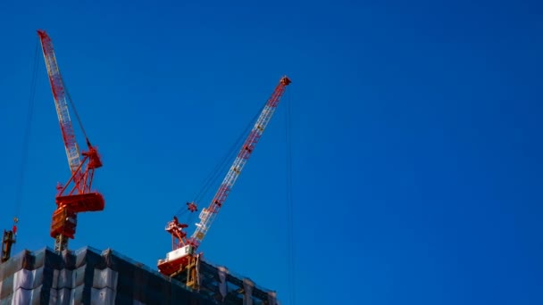 東京の青空の後ろに建設中のクレーンのタイムラプス — ストック動画