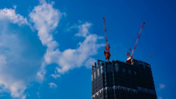 Tokyo'da mavi gökyüzünün arkasında yapım aşamasında vinçler bir timelapse — Stok video