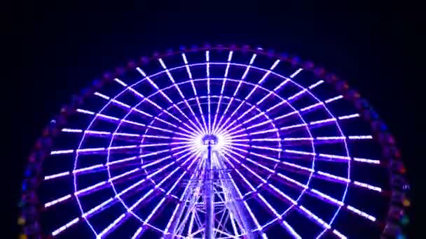 A timelapse of ferris wheel at the amusement park in Tokyo at night — Stock Video