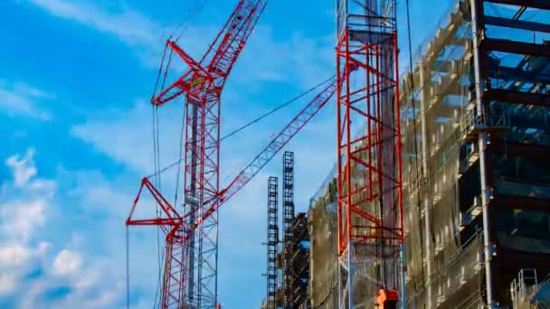 A timelapse of cranes at the under construction in Tokyo — Stock Video