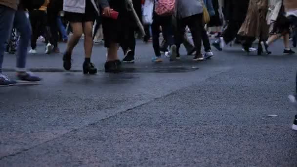 Πόδια των ανθρώπων που περπατούν στη διασταύρωση στη Σιμπούγια του Τόκιο βροχερές μέρες — Αρχείο Βίντεο