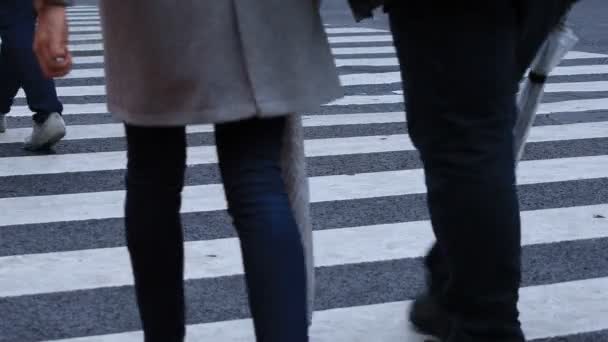 Pernas de pessoas ambulantes no cruzamento em Shibuya Tóquio dia chuvoso — Vídeo de Stock