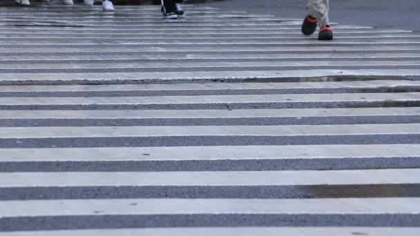 Piernas de gente caminando en el cruce en Shibuya Tokio día lluvioso — Vídeos de Stock