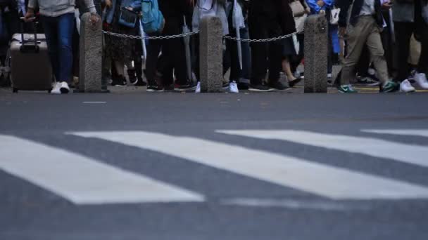 Poten van wandelende mensen op de kruising in Shibuya Tokyo regenachtige dag — Stockvideo